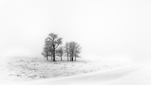 1005979 (a): :2560x1440